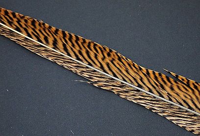 Golden-pheasant-feather natural No. 41