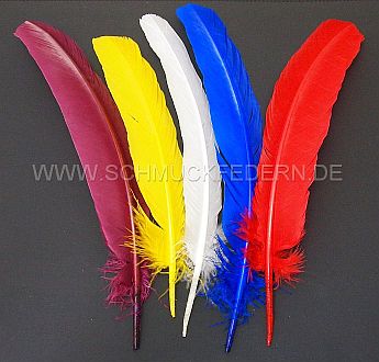 indian-feather No. 58 B