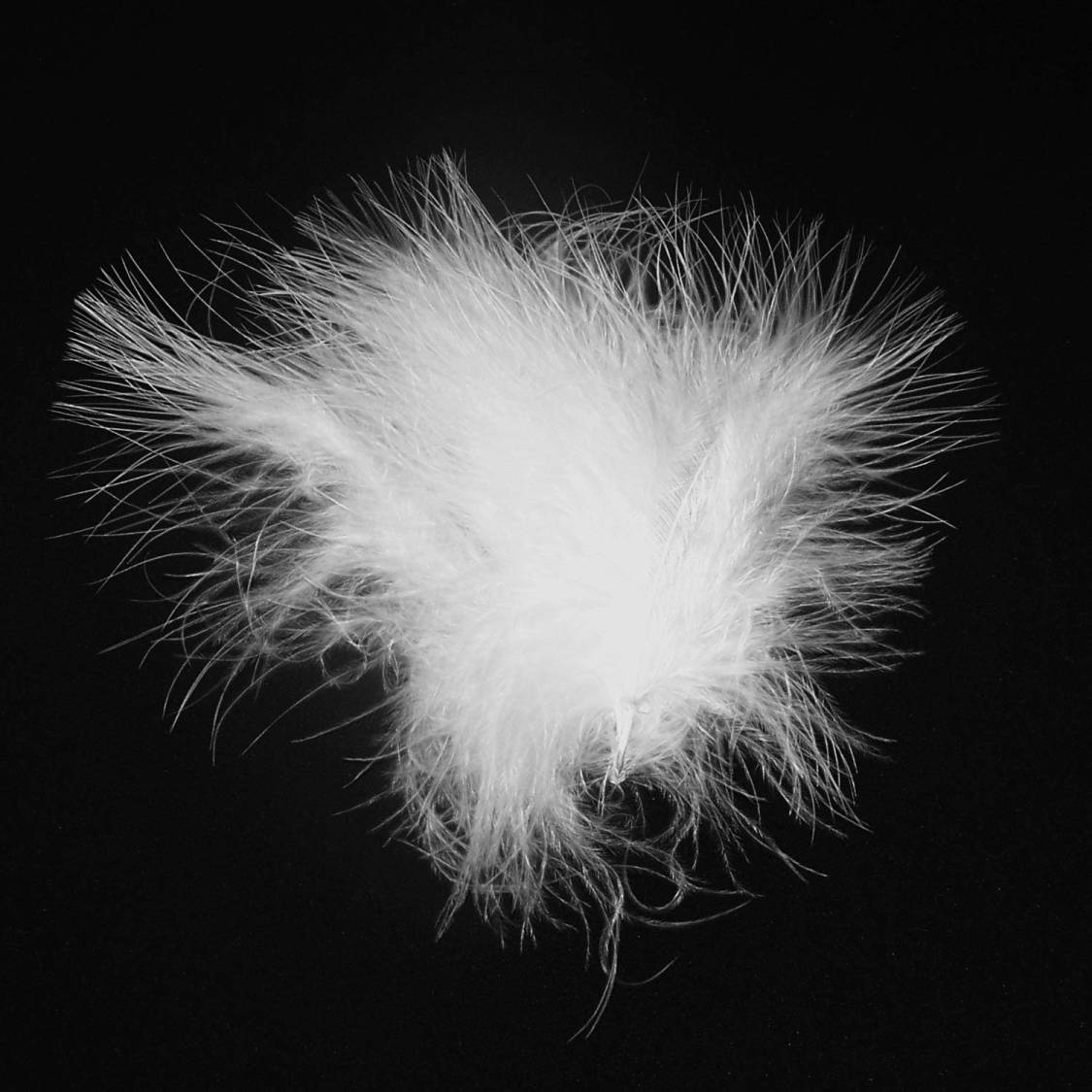 Flaum naturwei