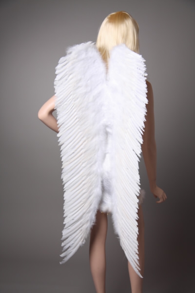 Angel-wing, E0, 60 x 120 cm, white