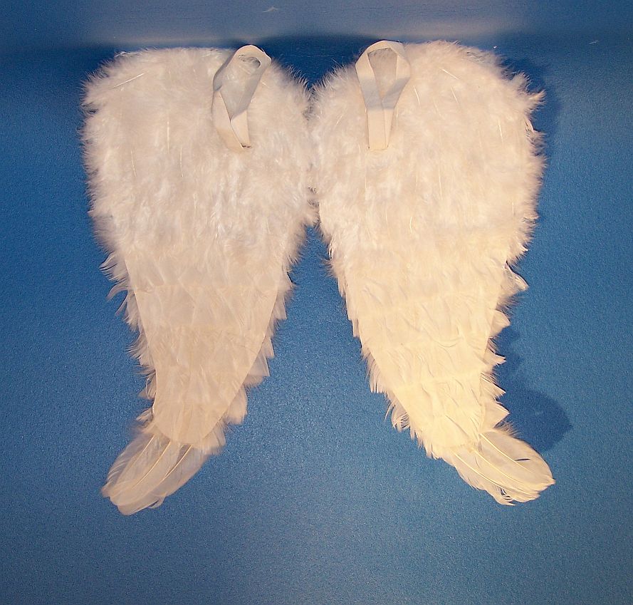 Angel-wing,  E20, about 52 x 50 cm