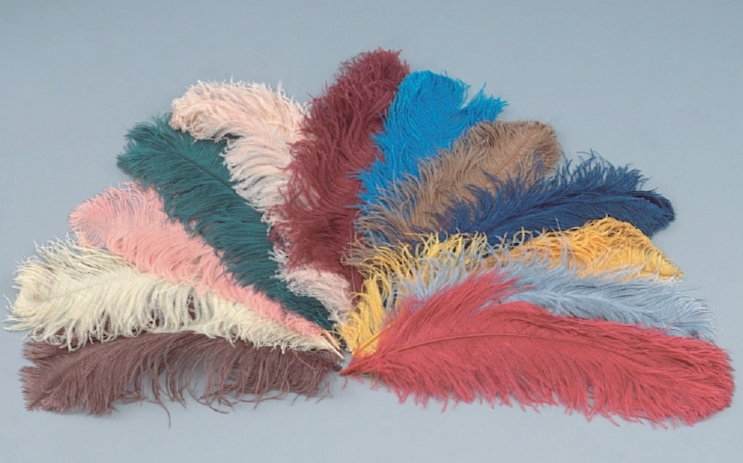 Ostrich-feathers