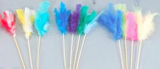 feather-duster